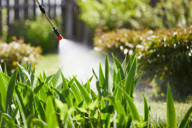 24/7 Emergency Wasp Removal experts in Herscher, IL