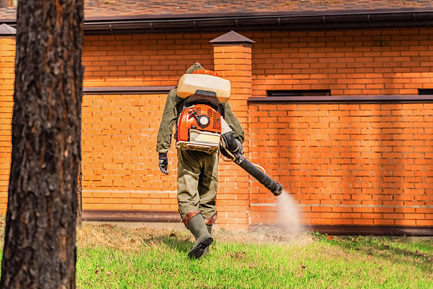 Top rated local Wasp Removal specialists in Herscher, IL